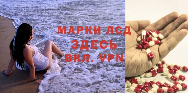 круглые Корсаков