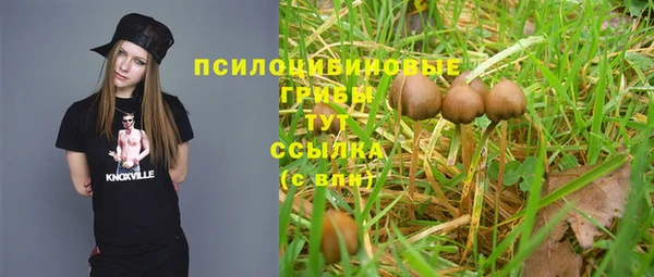 MDMA Рославль