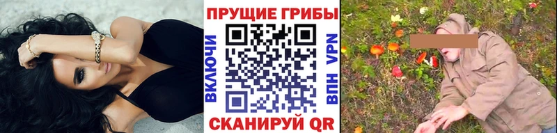 Псилоцибиновые грибы Magic Shrooms  OMG зеркало  нарко площадка как зайти  Бахчисарай 