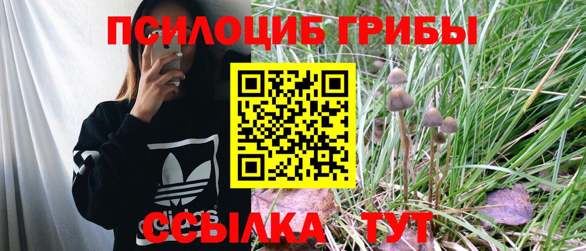 Бахчисарай  Псилоцибиновые грибы MAGIC MUSHROOMS  Вход с VPN 