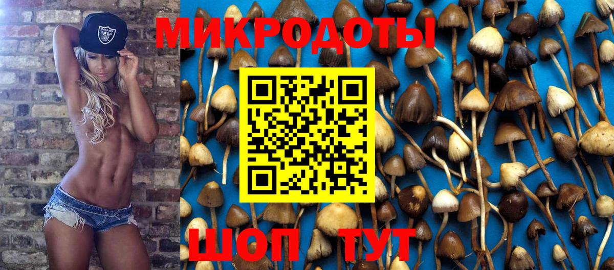 Галлюциногенные грибы Cubensis  Бахчисарай 